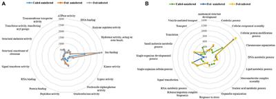 Rhipicephalus bursa Sialotranscriptomic Response to Blood Feeding and Babesia ovis Infection: Identification of Candidate Protective Antigens